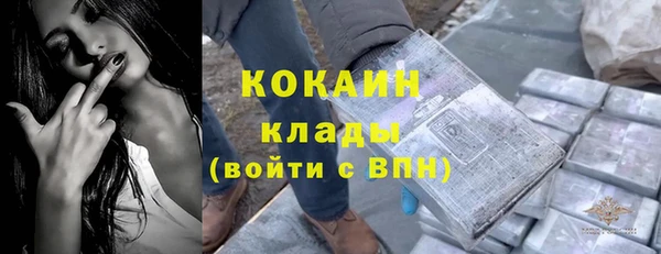 гашик Нея