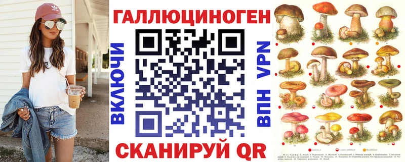 omg tor как найти закладки Покачи Псилоцибиновые грибы Psilocybine cubensis